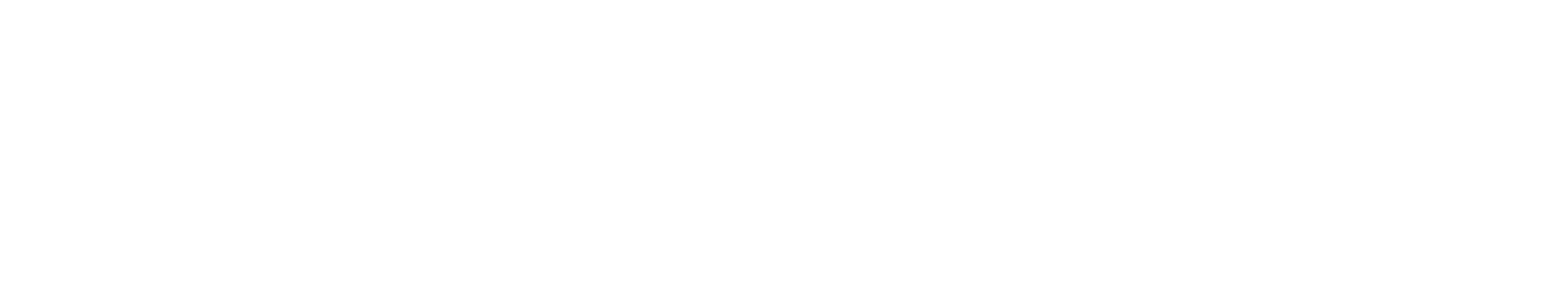 Mesfix logo